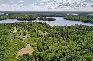51150 N White Swan Lake Rd, Bigfork, MN 56628 - Photo 59