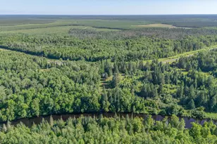 9080 County Rd 30, Big Falls, MN 56627 - Photo 27