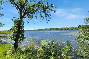 39331 State Hwy 6, Emily, MN 56447 - Photo 35