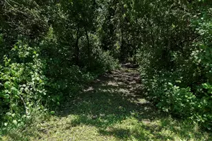 6565 165th Ave NW, New London, MN 56273 - Photo 33