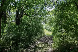 6565 165th Ave NW, New London, MN 56273 - Photo 35