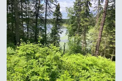 11919 Luna Lake Road, Side Lake, MN 55781 - Photo 17