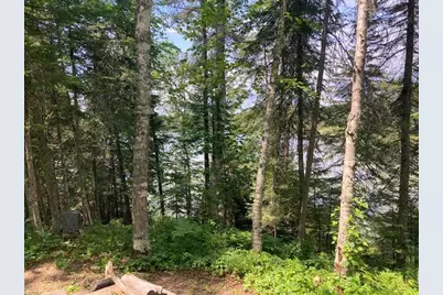 11919 Luna Lake Road, Side Lake, MN 55781 - Photo 19