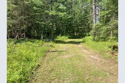 11919 Luna Lake Road, Side Lake, MN 55781 - Photo 3