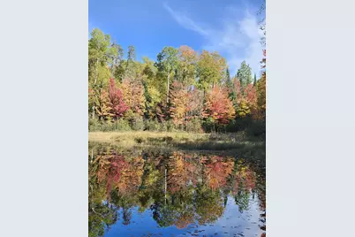 11919 Luna Lake Road, Side Lake, MN 55781 - Photo 25