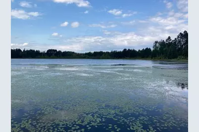 11919 Luna Lake Road, Side Lake, MN 55781 - Photo 11