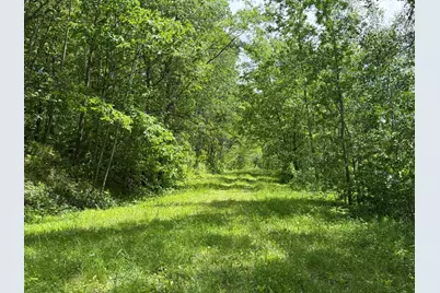 Tbd Hickory Lane, Garrison, MN 56450 - Photo 5