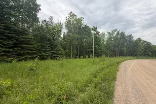 Lot 2 S Gull Lake Rd SW, Tenstrike, MN 56647 - Photo 1