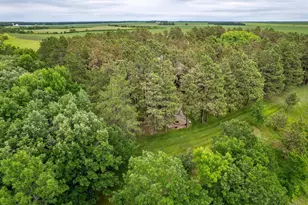 35054 Sterling Silver Dr, Battle Lake, MN 56515 - Photo 89
