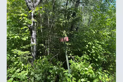 11703 Jacobs Road, Orr, MN 55771 - Photo 1