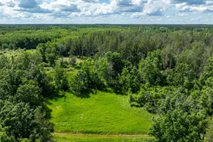 22415 Wilderness Dr, Verndale, MN 56481 - Photo 59
