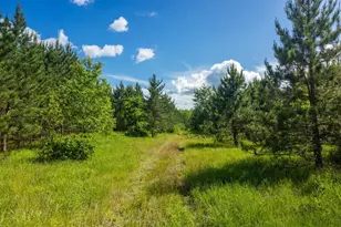 22415 Wilderness Dr, Verndale, MN 56481 - Photo 45
