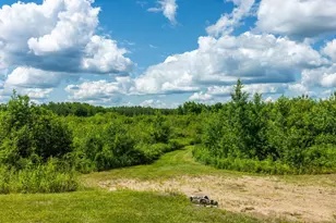 22415 Wilderness Dr, Verndale, MN 56481 - Photo 13