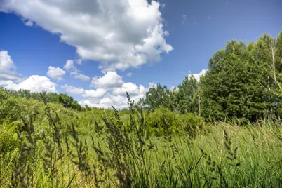 22415 Wilderness Drive, Verndale, MN 56481 - Photo 67