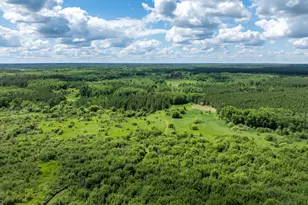 22415 Wilderness Dr, Verndale, MN 56481 - Photo 9