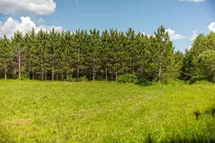 22415 Wilderness Dr, Verndale, MN 56481 - Photo 51