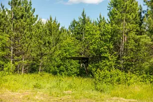 22415 Wilderness Dr, Verndale, MN 56481 - Photo 71