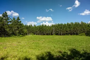 22415 Wilderness Dr, Verndale, MN 56481 - Photo 47