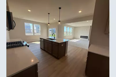 15173 Amber Fields Boulevard, Rosemount, MN 55068 - Photo 3