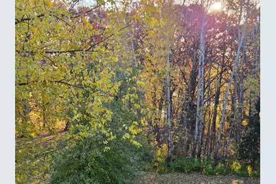26901 Meadow Ridge Drive, Elko New Market, MN 55020 - Photo 41