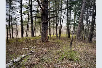 Tbd County Line Avenue, Clear Lake, WI 54005 - Photo 5