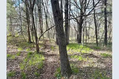 Tbd County Line Avenue, Clear Lake, WI 54005 - Photo 11