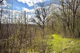 Tbd County Line Ave, Clear Lake, WI 54005 - Photo 1