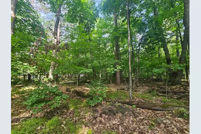 Tbd Whitefish Avenue, Crosslake, MN 56442 - Photo 3