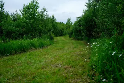 25820 County Road 26, Sebeka, MN 56477 - Photo 47