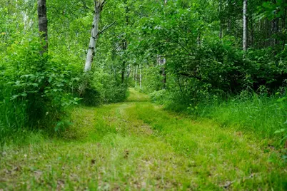 25820 County Road 26, Sebeka, MN 56477 - Photo 23