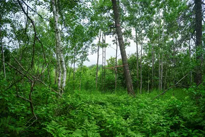 25820 County Road 26, Sebeka, MN 56477 - Photo 29