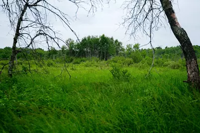 25820 County Road 26, Sebeka, MN 56477 - Photo 39