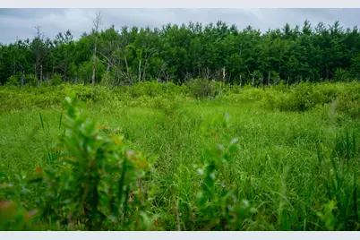 25820 County Road 26, Sebeka, MN 56477 - Photo 27