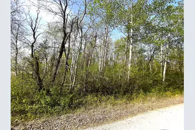 Xxx 585th Avenue, Warroad, MN 56763 - Photo 5