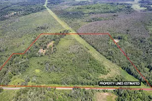 7775 E Moose Lake Rd, Solon Springs, WI 54873 - Photo 3