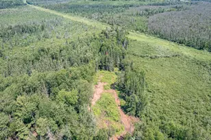 7775 E Moose Lake Rd, Solon Springs, WI 54873 - Photo 21