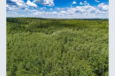 Tbd Freestone Road, Grand Rapids, MN 55744 - Photo 15
