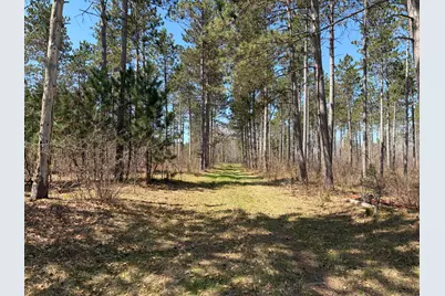 Tbd Cc Mann Road, Spooner, WI 54801 - Photo 7