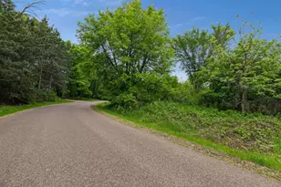 10 Sunnyside Ln, Sunfish Lake, MN 55118 - Photo 53