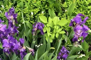 23716 Stony Bar Cir, Pelican Rapids, MN 56572 - Photo 97