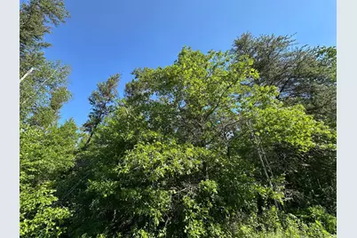 Tbd 205th Avenue, Sebeka, MN 56477 - Photo 19