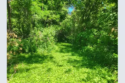 Lot 5 Big Chip Trail NW, Garfield, MN 56332 - Photo 5