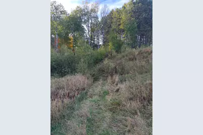 0000 Wick Road, Saginaw, MN 55779 - Photo 11
