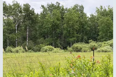 Tbd Highway 65, Nashwauk, MN 55769 - Photo 1