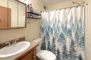13871 50th Ave, South Haven, MN 55382 - Photo 25