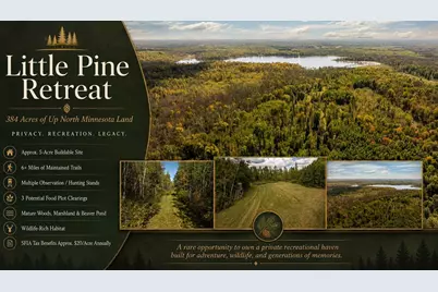 384 Acres Tbd Little Pine Road, Emily, MN 56447 - Photo 1