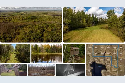 384 Acres Tbd Little Pine Road, Emily, MN 56447 - Photo 1