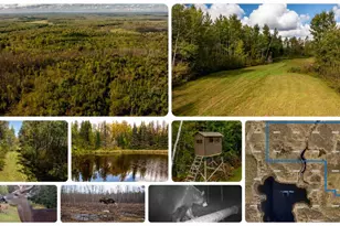 384 Acres Tbd Little Pine Rd, Emily, MN 56447 - Photo 1
