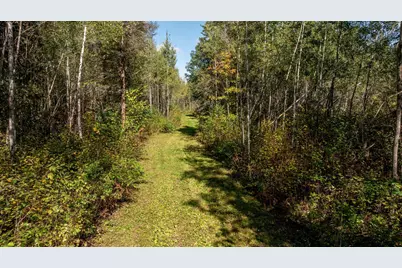 384 Acres Tbd Little Pine Road, Emily, MN 56447 - Photo 9
