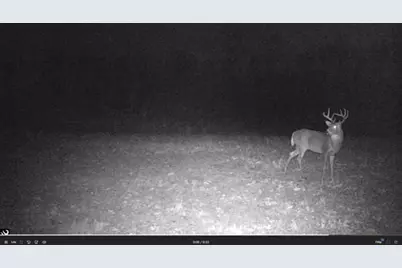 384 Acres Tbd Little Pine Road, Emily, MN 56447 - Photo 29
